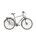 Bergamont dviratis Horizon N7 CB Gent XL silver