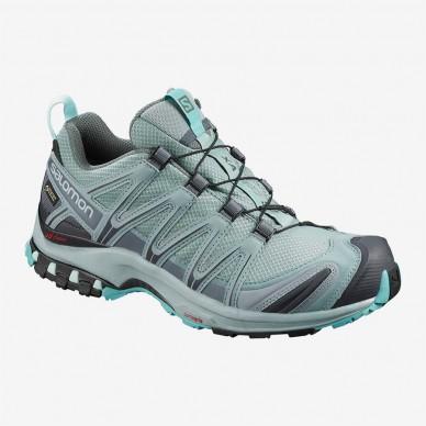 SALOMON XA PRO 3D G-TX moteriški trail batai