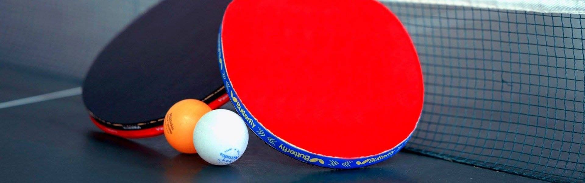 Stalo Tenisui | Badmintonui